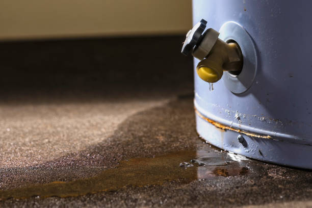 Best Flood restoration services  in Bell Nyon, CA