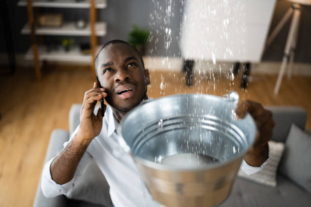 Best Professional water damage repair  in Bell Nyon, CA