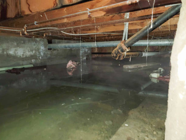 Best Water damage restoration experts  in Bell Nyon, CA