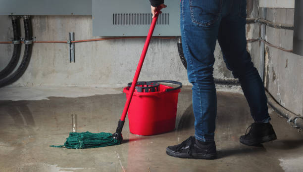 Best Sewage cleanup and water damage restoration  in Bell Nyon, CA