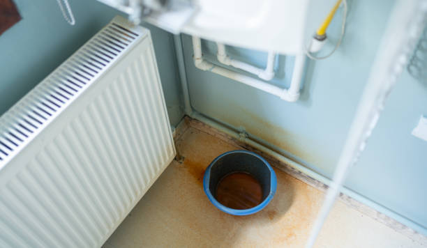Water damage restoration mold remediation in Bell Canyon, CA