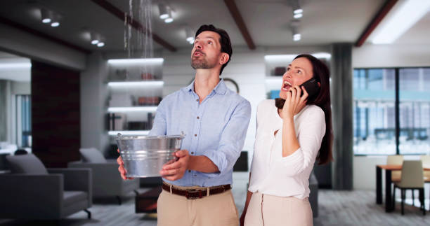 Best Water damage restoration process  in Bell Nyon, CA